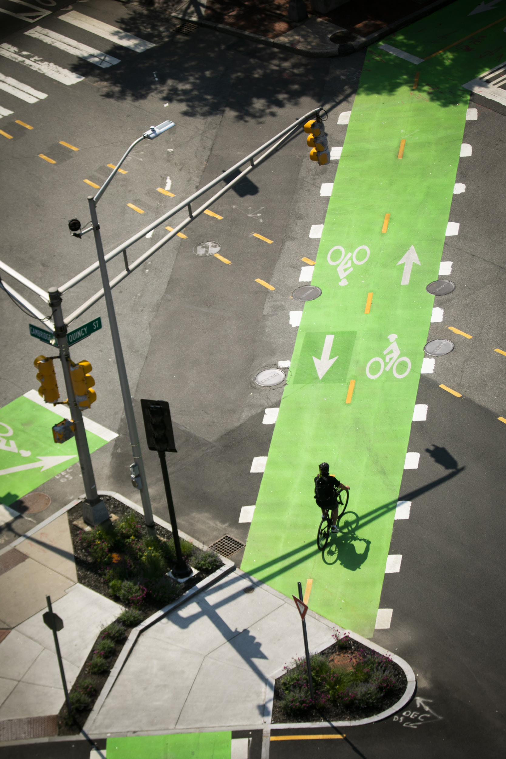 A bicyclist passes over the bike lane at the intersection of Quincy and Cambridge Streets.