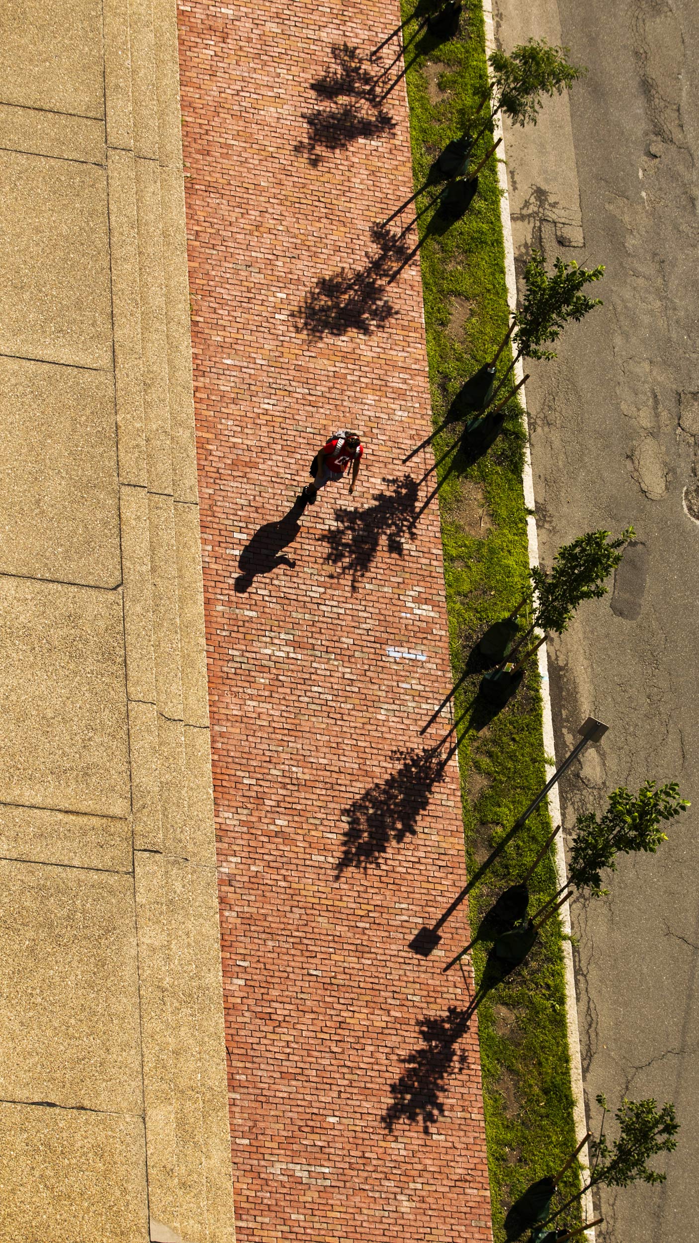 A person walks past a row of tree shadows on Kirkland Street.