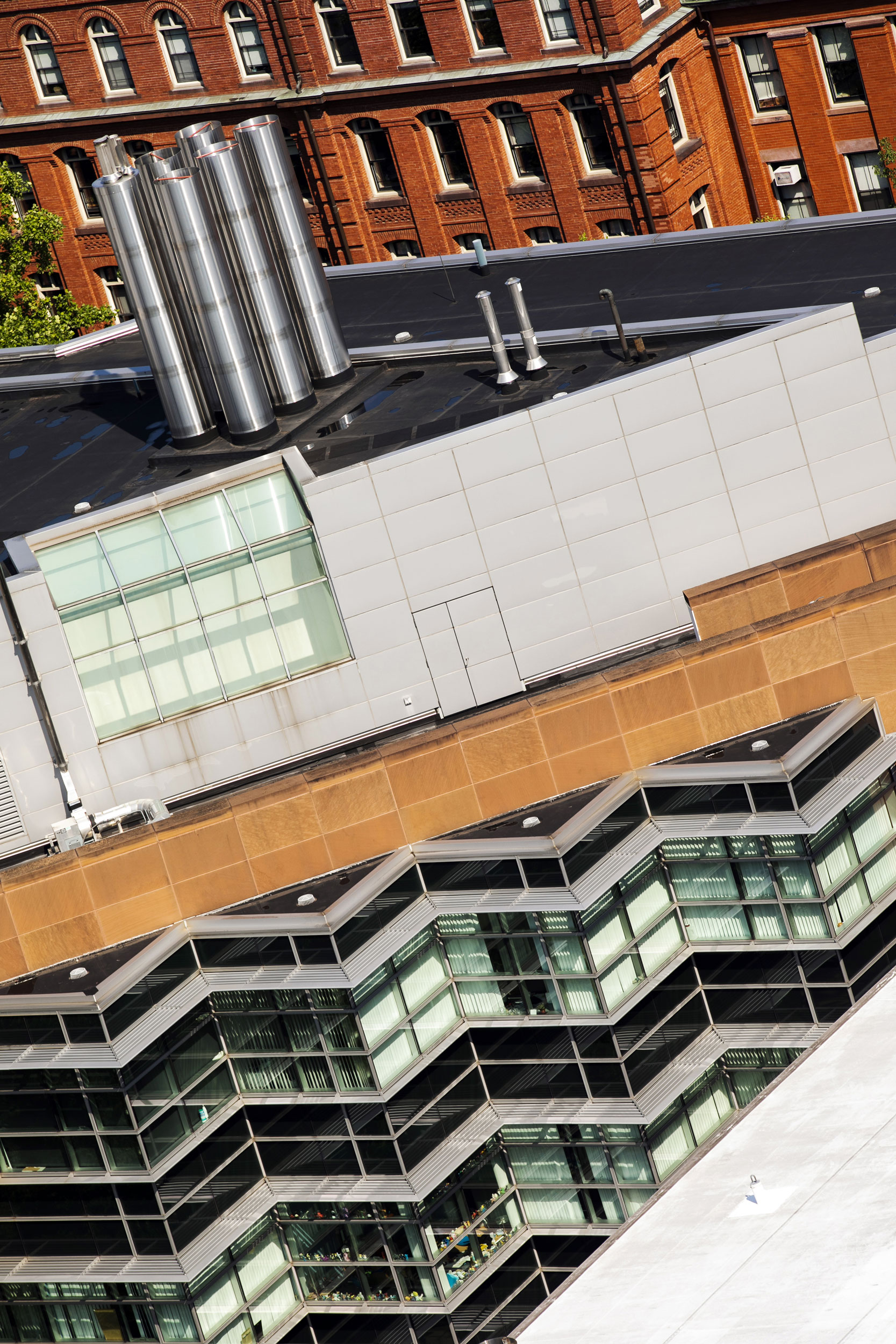 Bauer Life Sciences Building and the Peabody Museum form an array of lines and patterns.