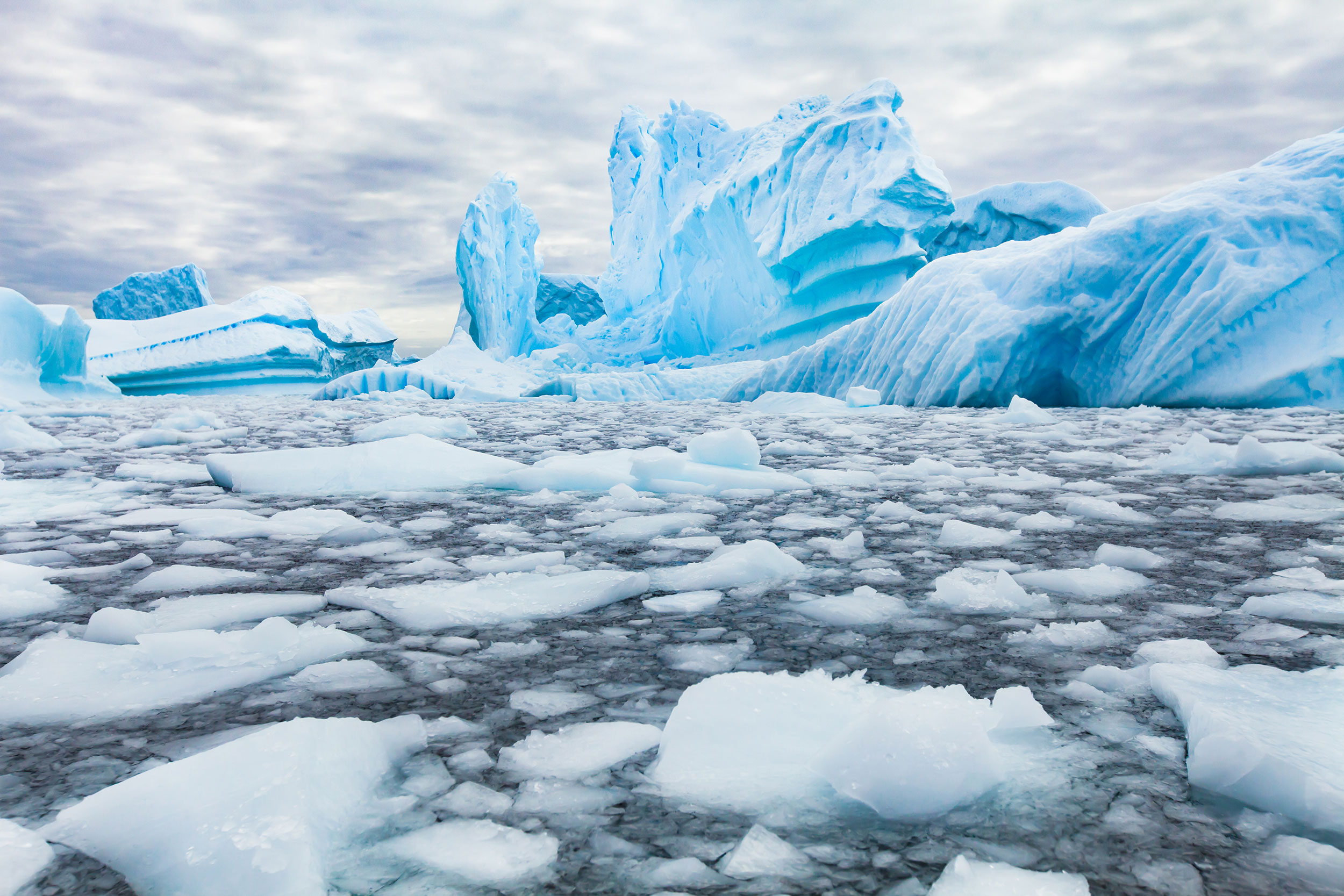 Antarctica.