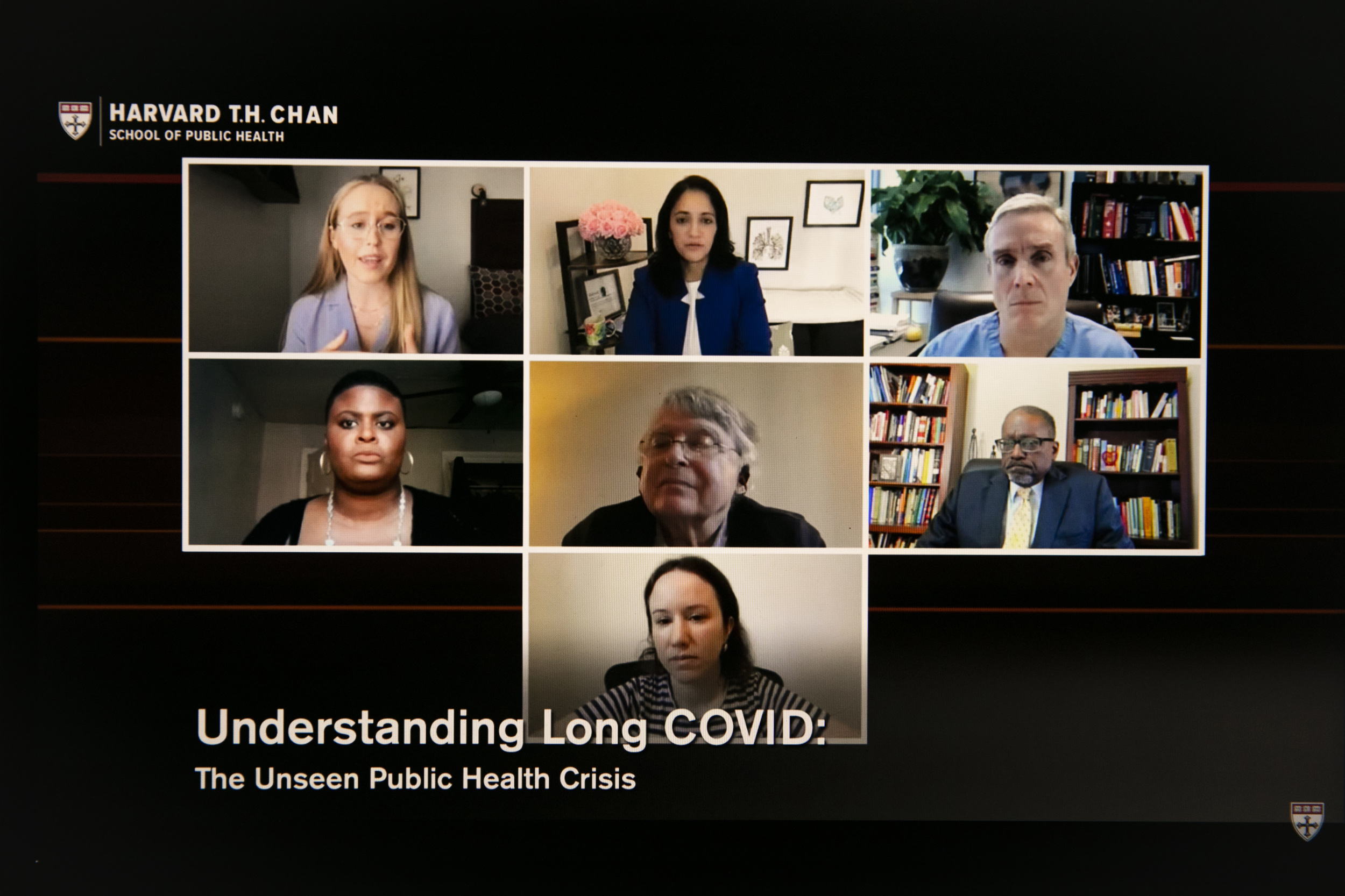 Speakers discuss long COVID on Zoom.