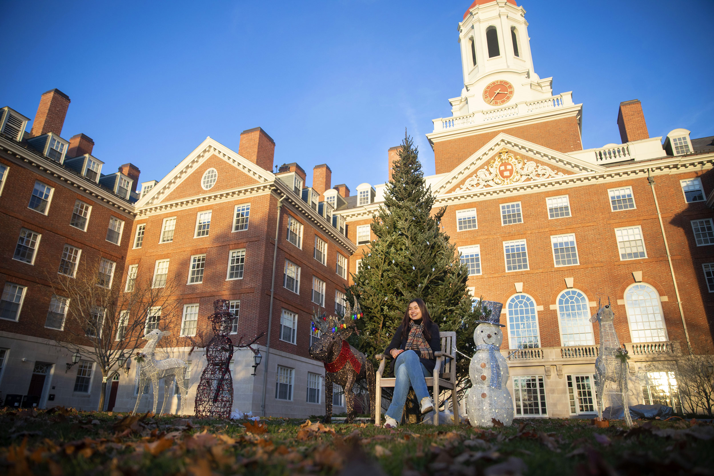 Charis Palandjian ’23 enjoys the sunset from beneath the Christmas tree at Dunster House.