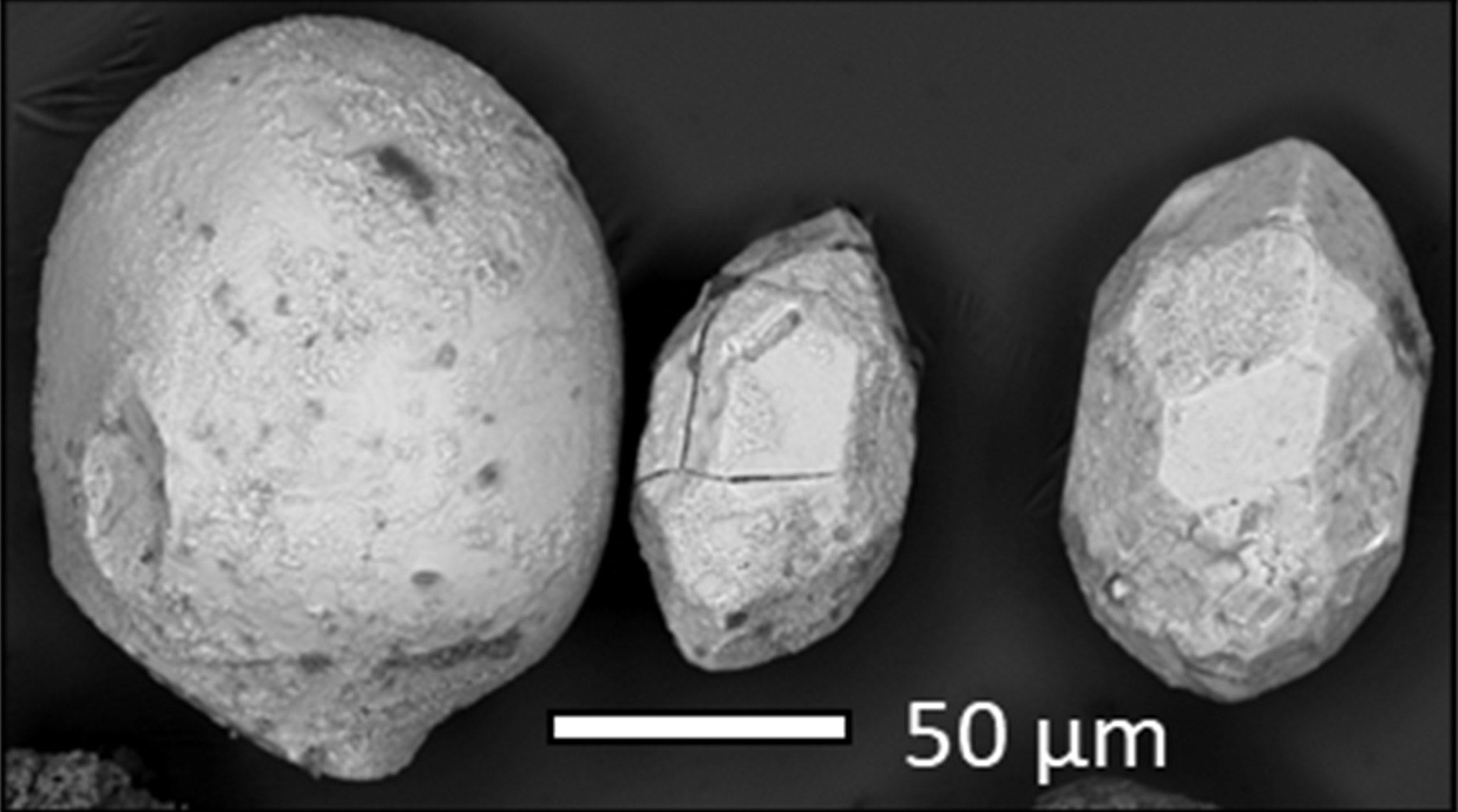 Three zircons researchers analyzed for the study