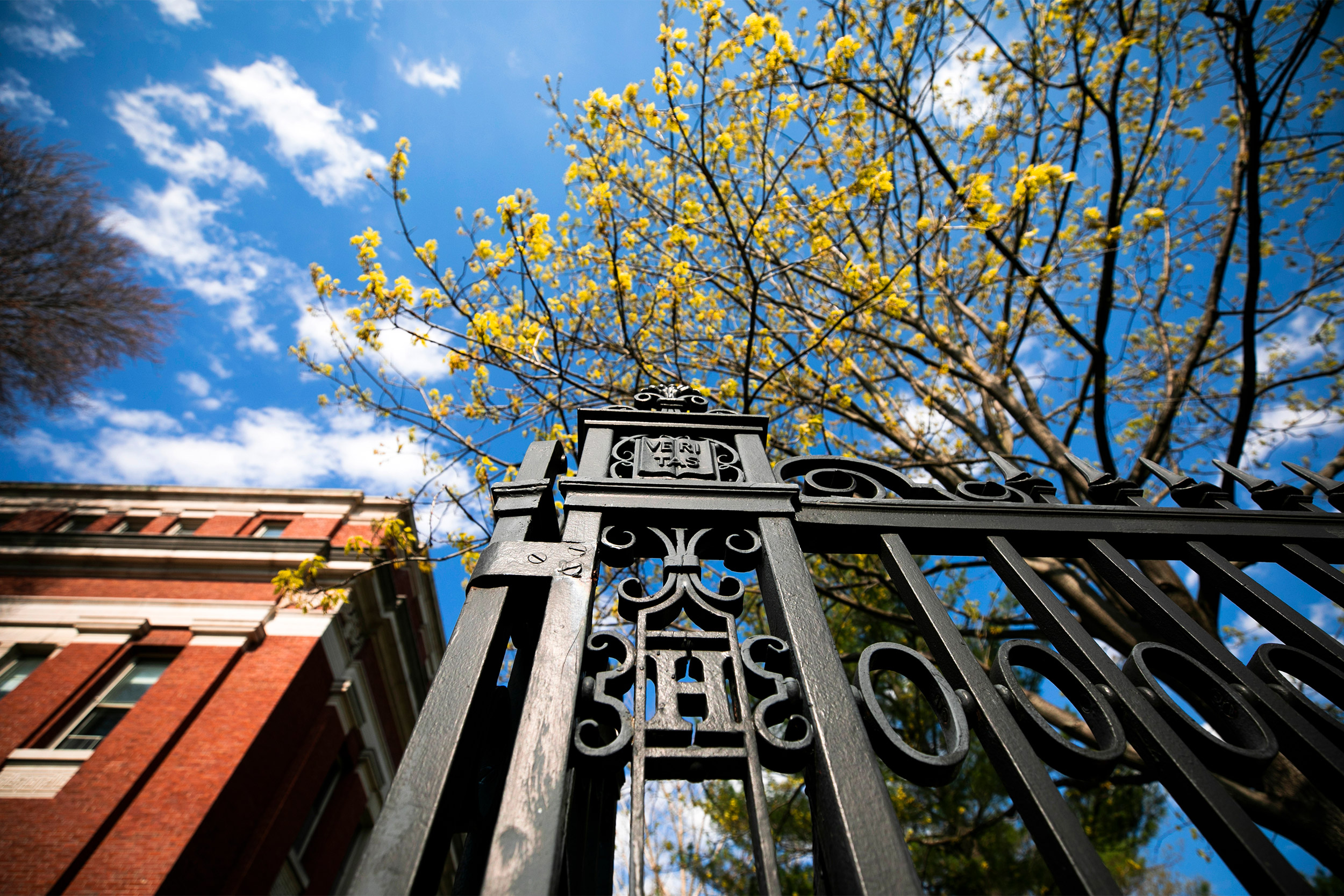 Quincy Street gate.