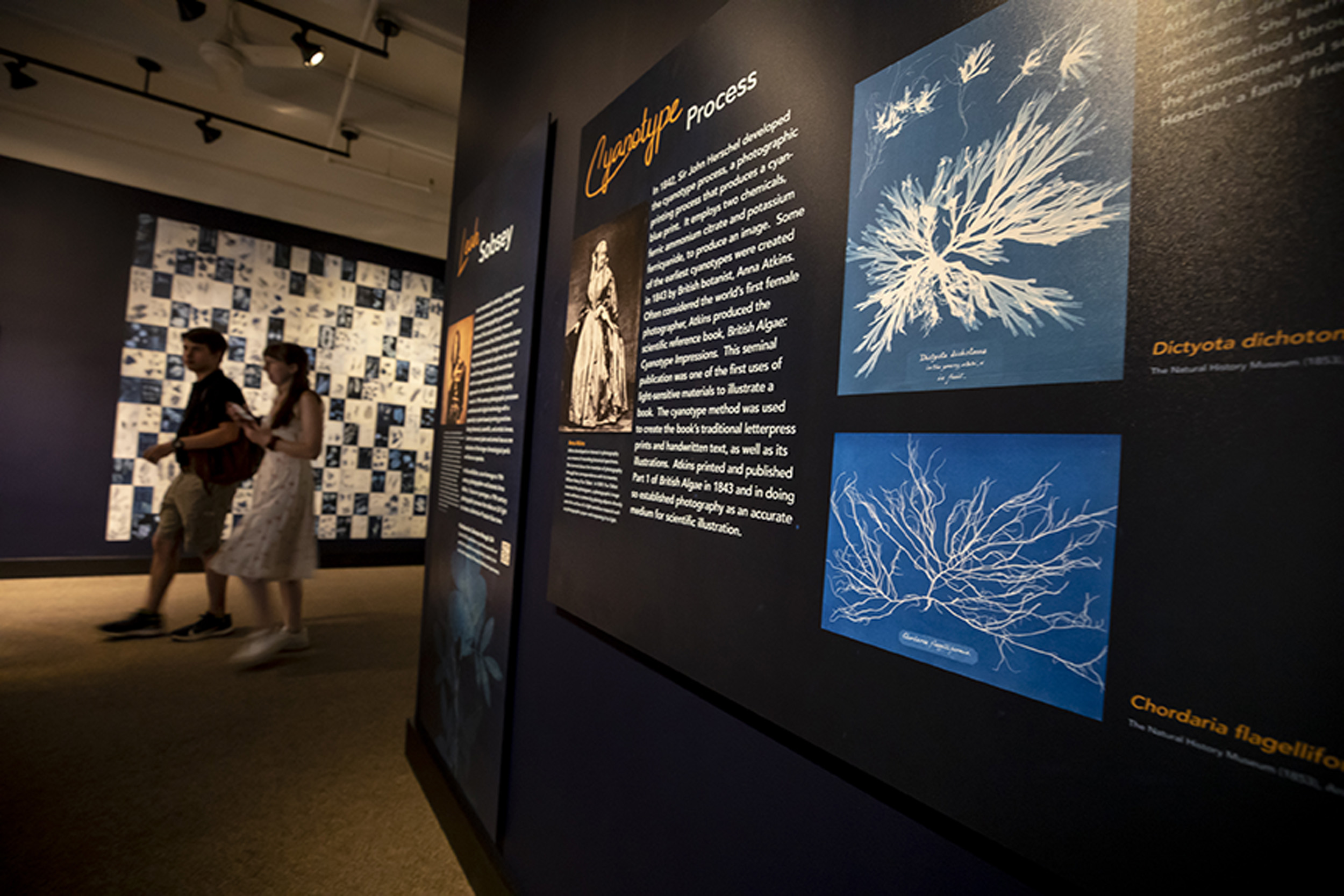 Exhibit space at the Harvard Museum of Natural History.