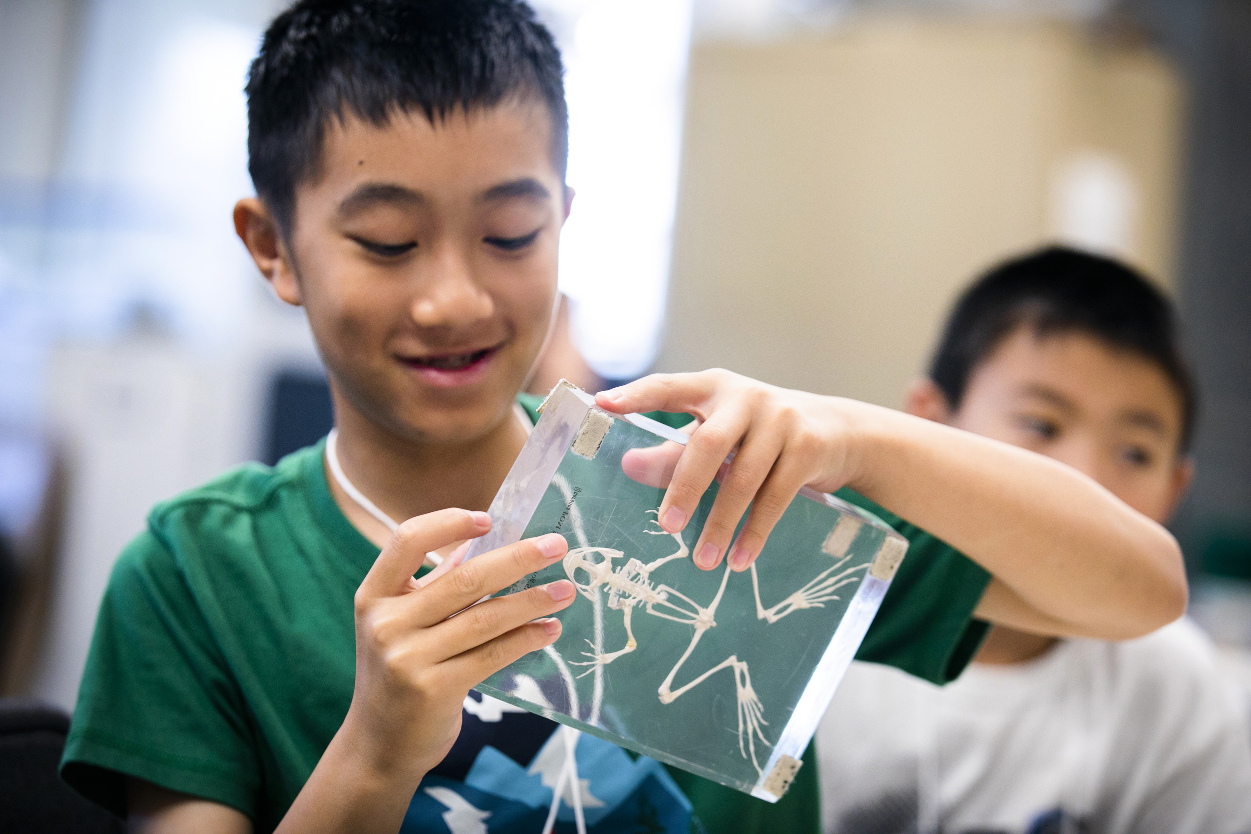 Maxwell Luo (left) examines a frog skeleton during the class.