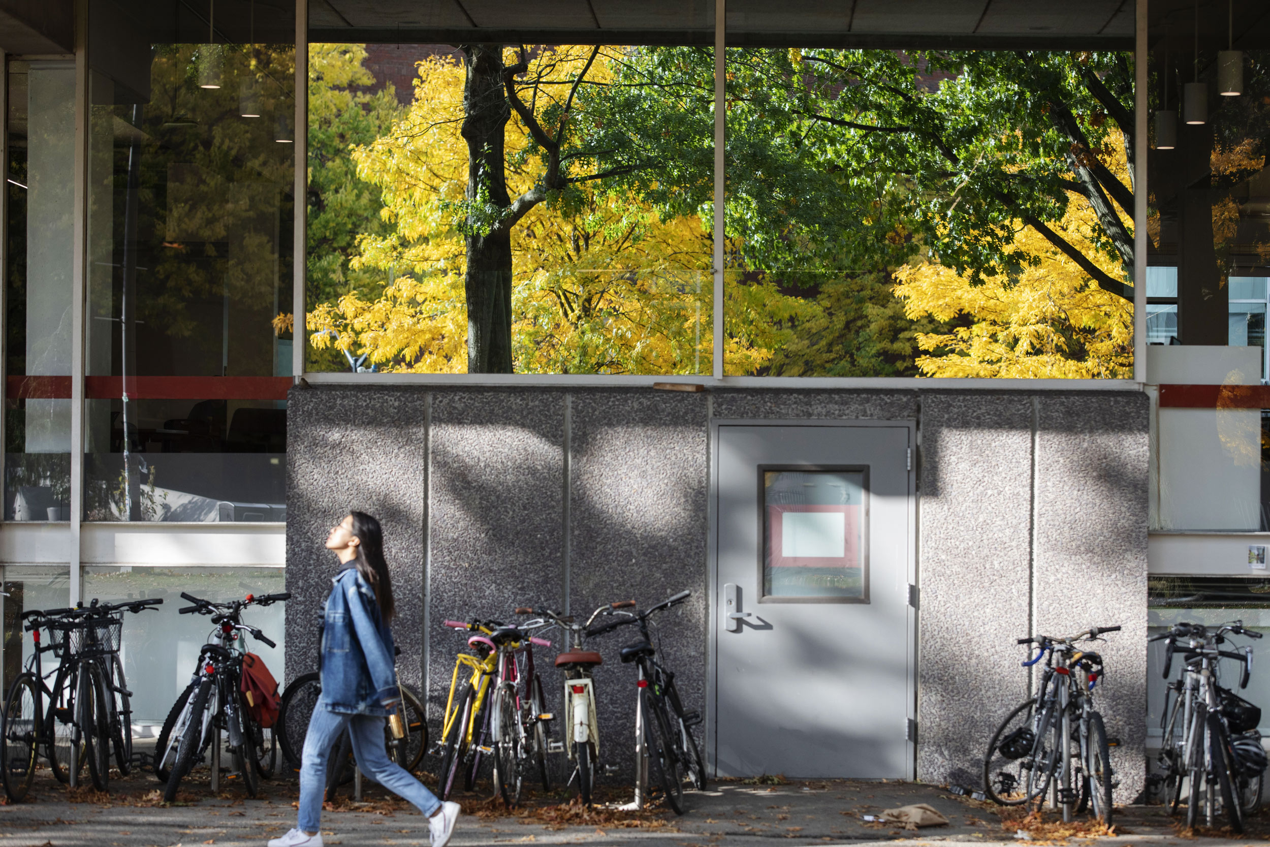 Colorful trees are reflected in Cabot Library windows.