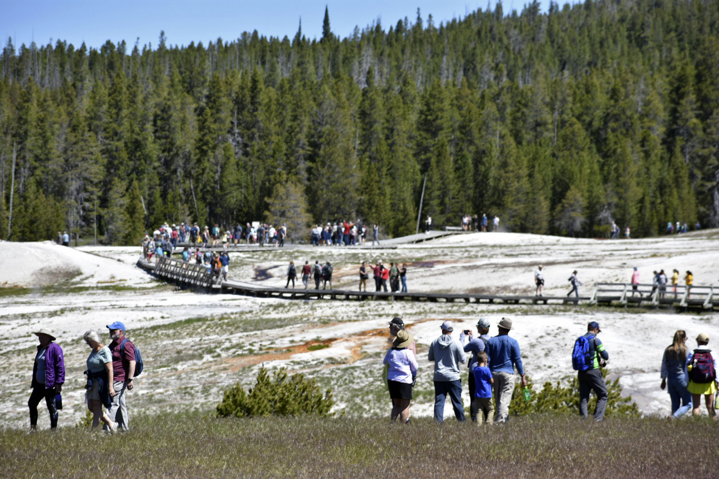 Tourists at Yellowstone National Park.