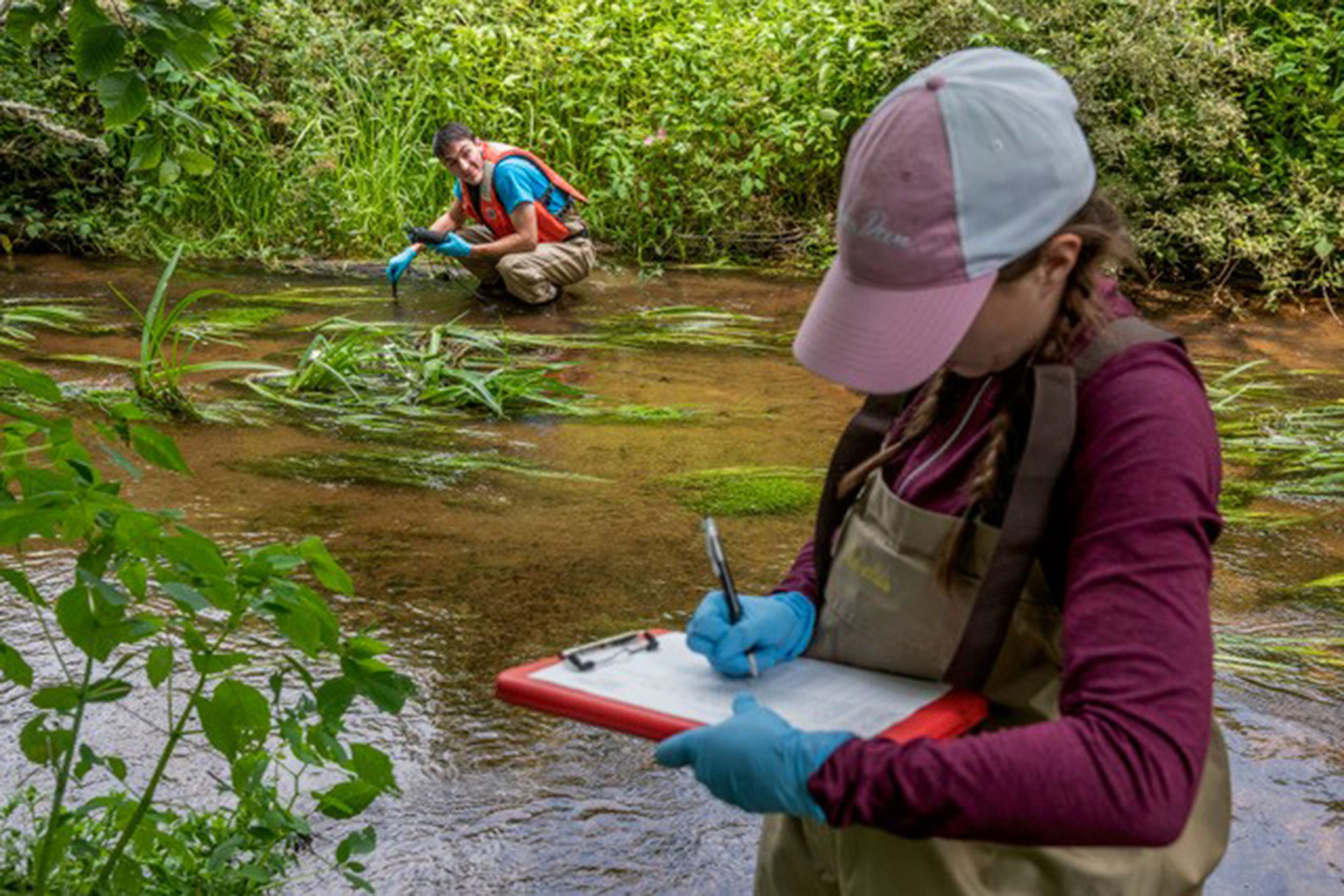 Members of the Sunderland Lab sampling for PFAS contamination on Cape Cod