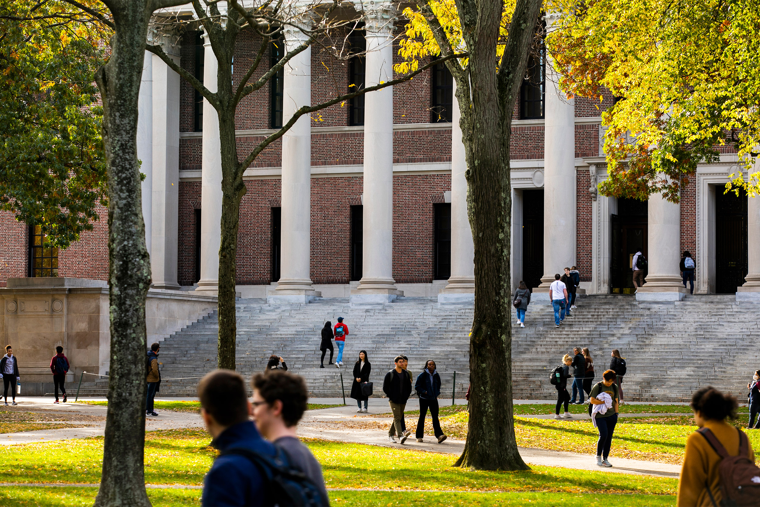 Widener Library.