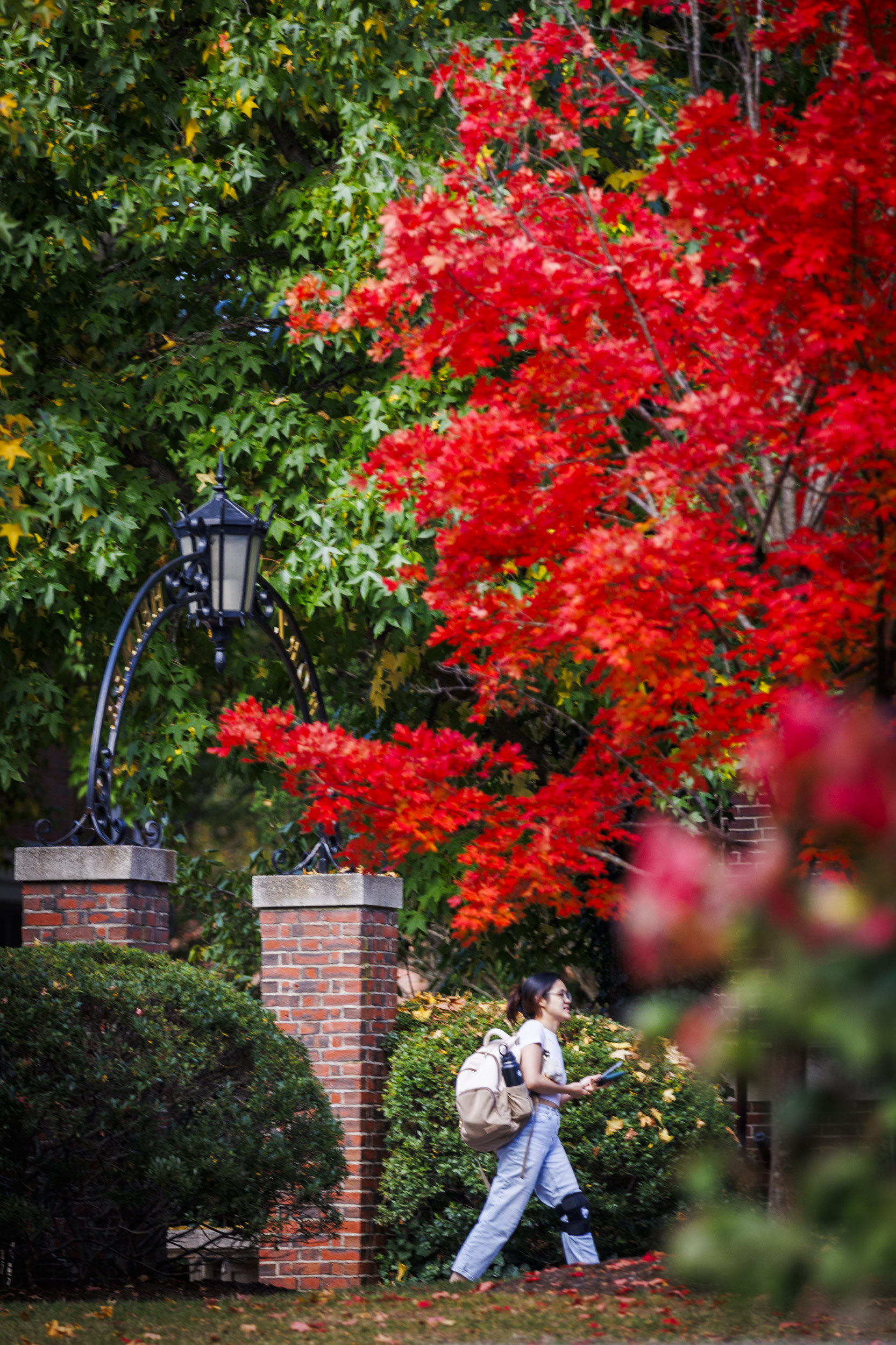 A student walks through the entrance near Pforzheimer House in Radcliffe Quadrangle.