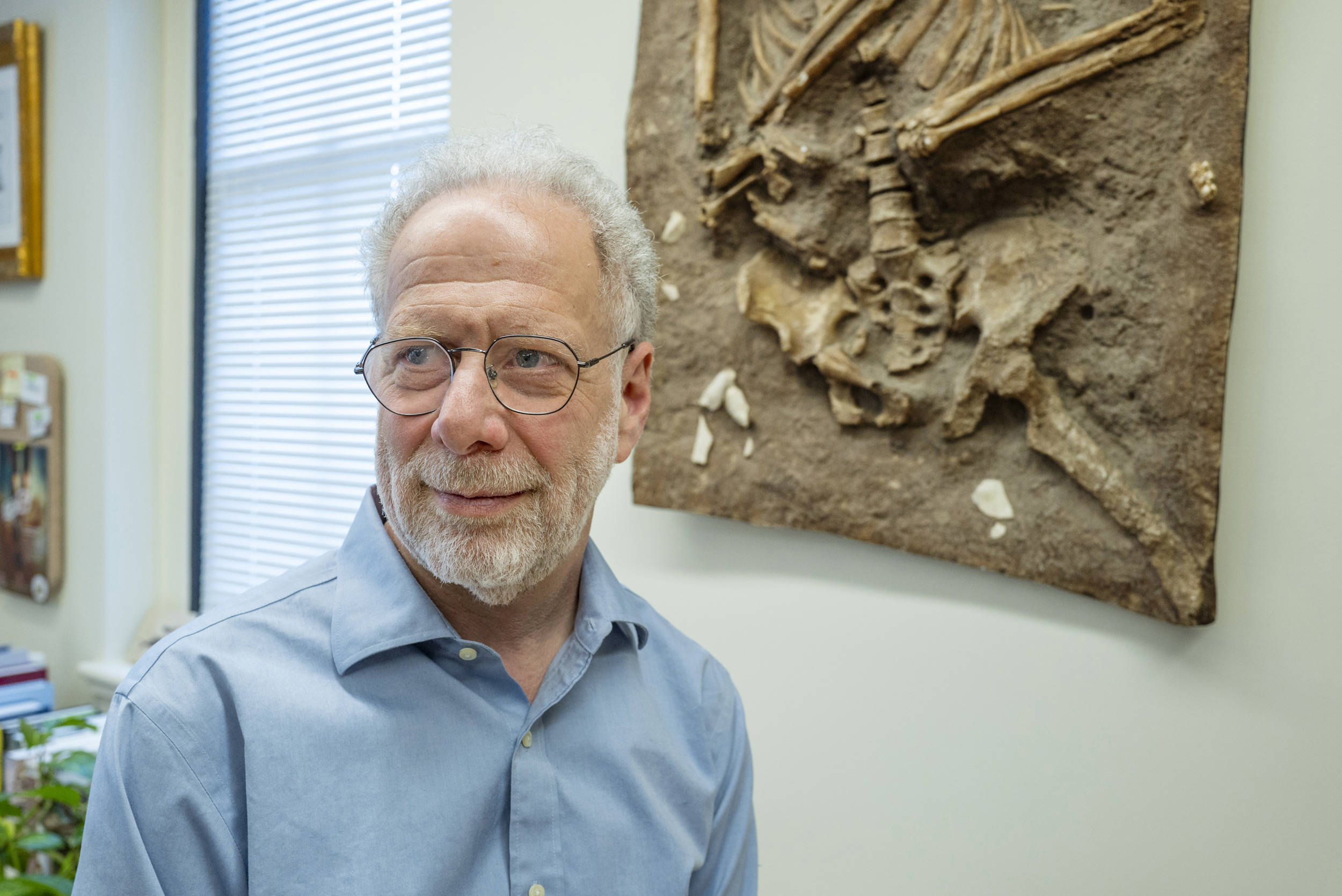 Dan Lieberman is pictured in his office.