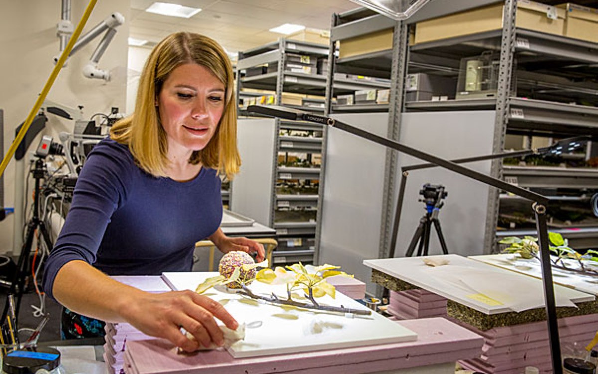 Woman restores glass flower