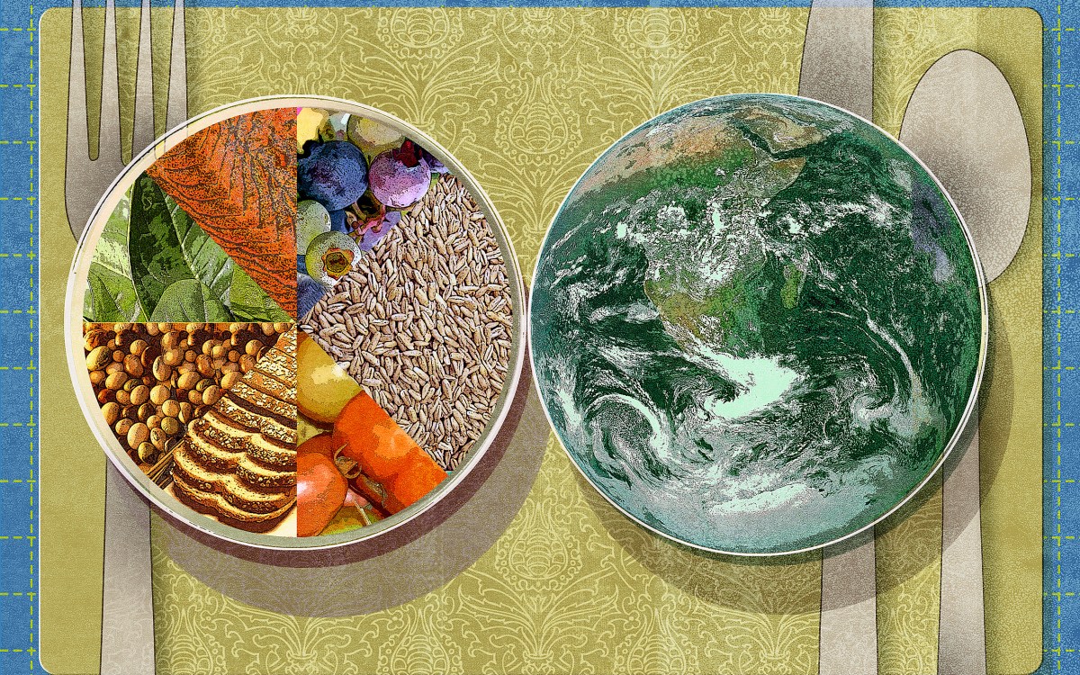 Illustration of two plates, one filled with components of a healthy diet and one filled with planet.