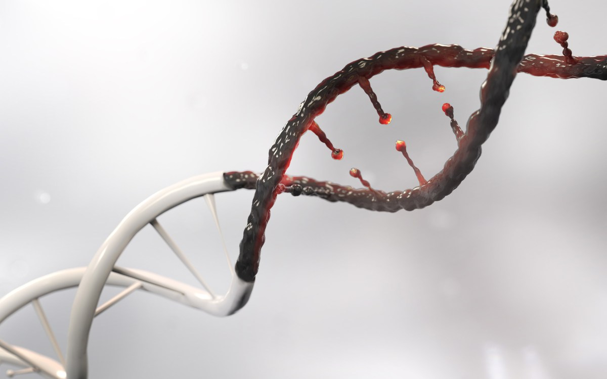 DNA strand and Cancer Cell