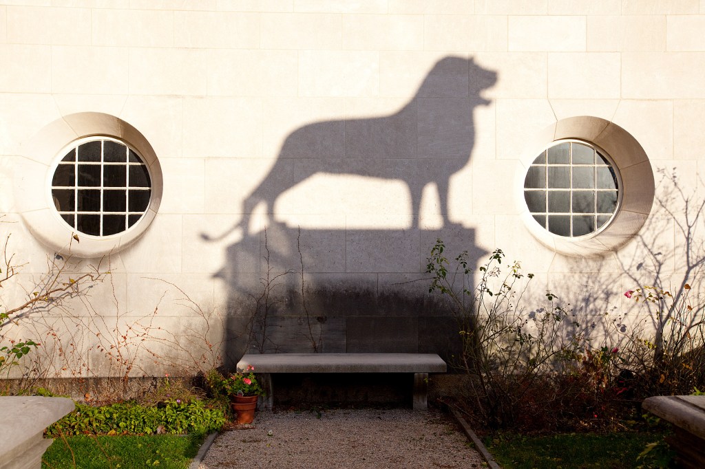 Shadow of bronze lion casts shadow on the wall at Busch Hall garden.