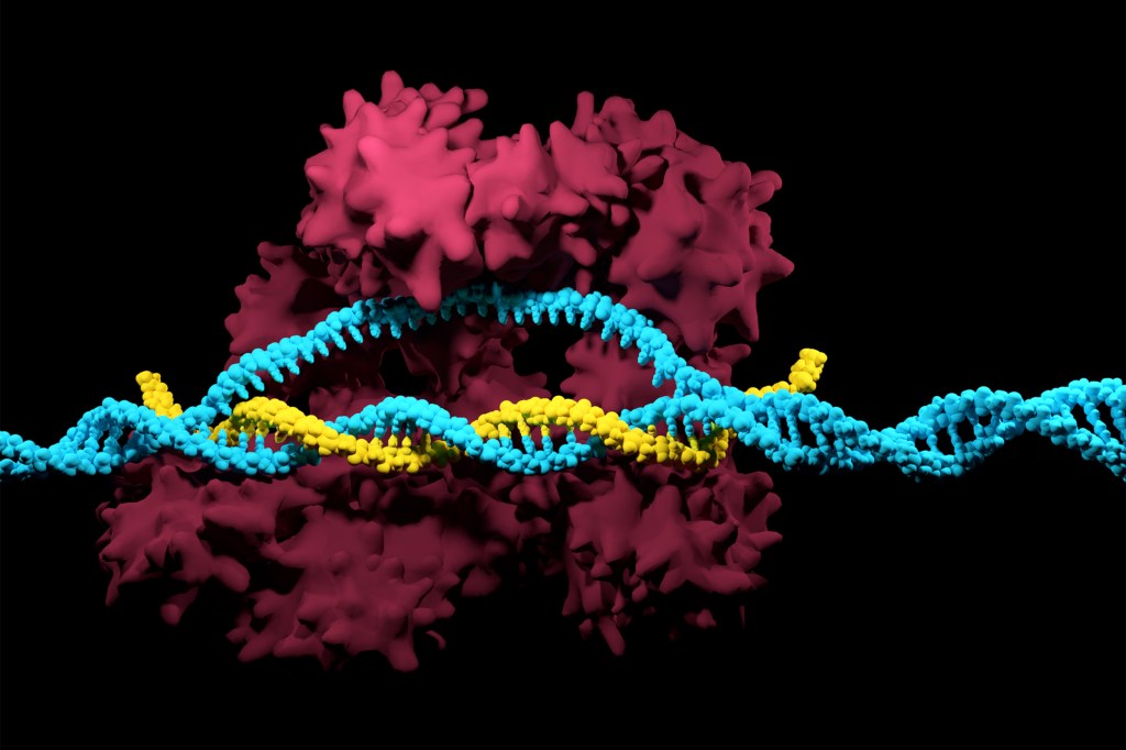 3D render of the CRISPR-Cas9 genome editing system