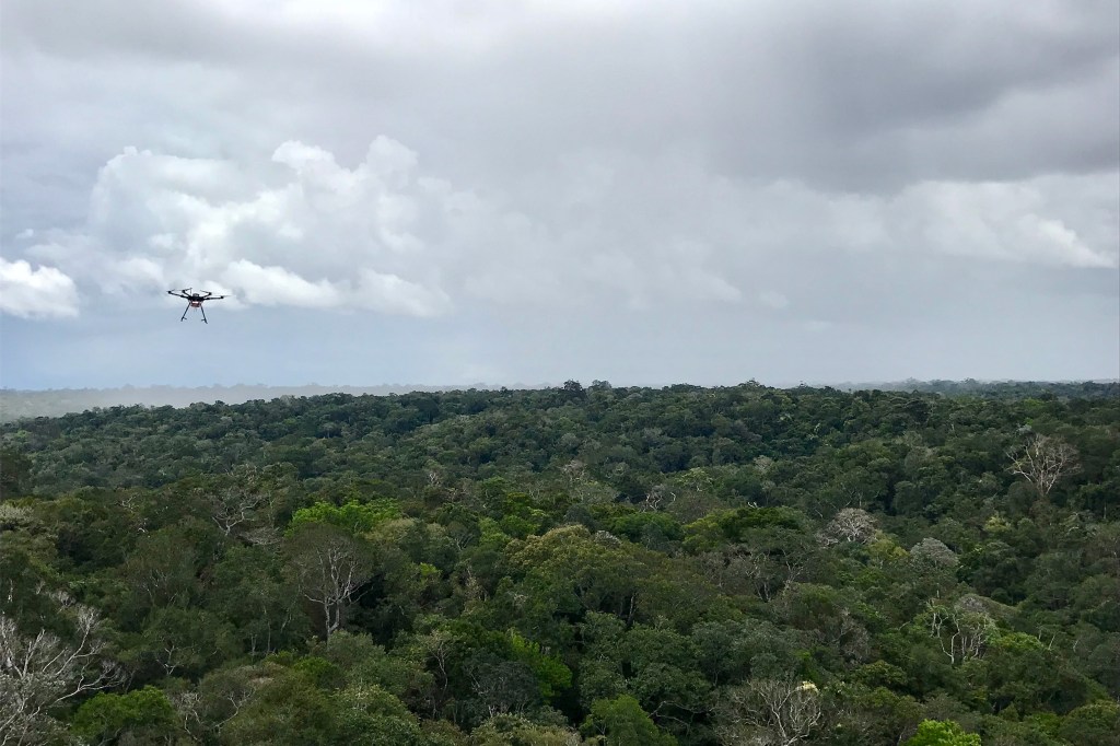 A drone flies over the amazon