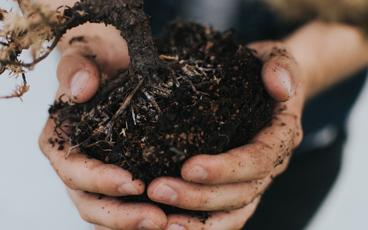 Hands holding dirt