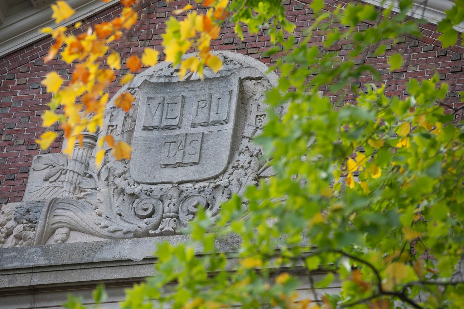 Harvard Crest