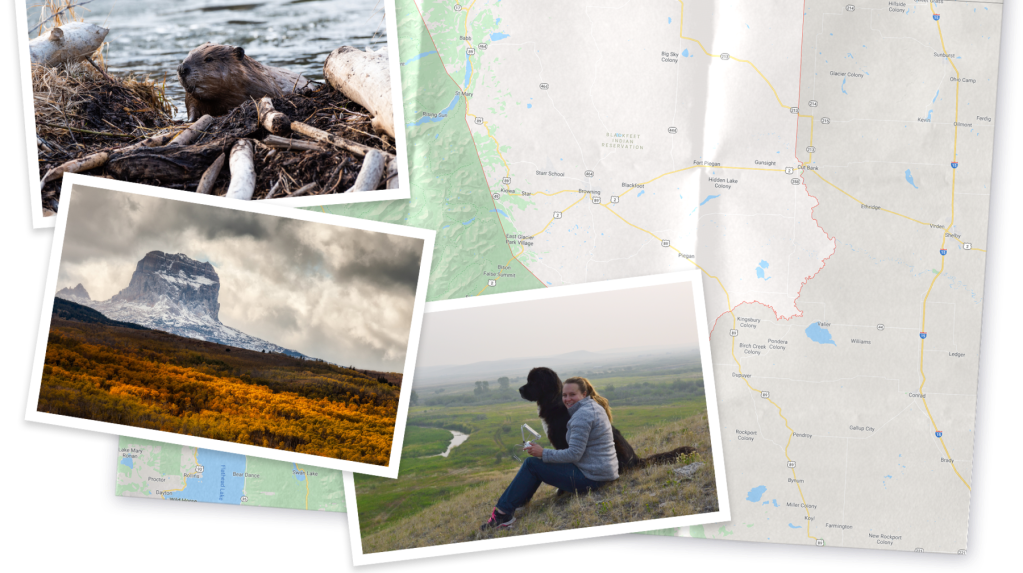 A collage of pictures of Montana, a beaver, and Jordan sitting on a hill with her dog