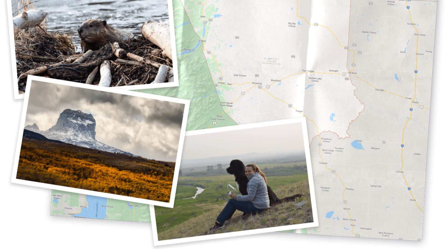 A collage of pictures of Montana, a beaver, and Jordan sitting on a hill with her dog