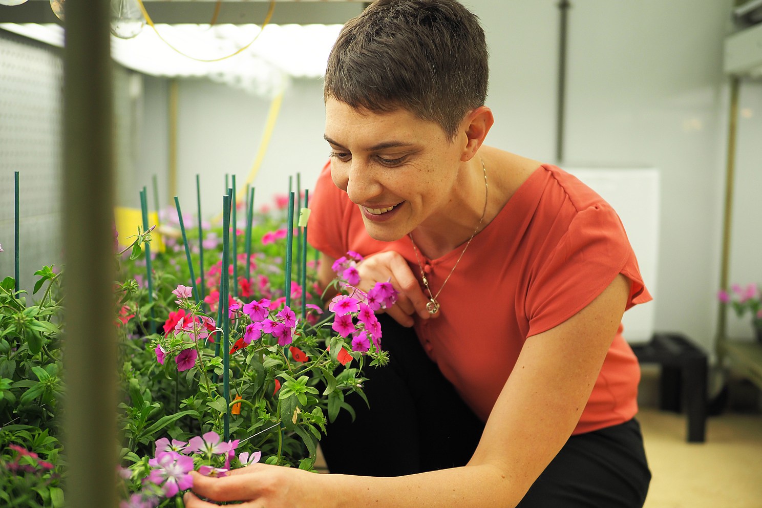 Woman examining flowers.