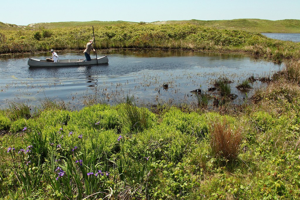 Two people in a paddleboat on a pond.