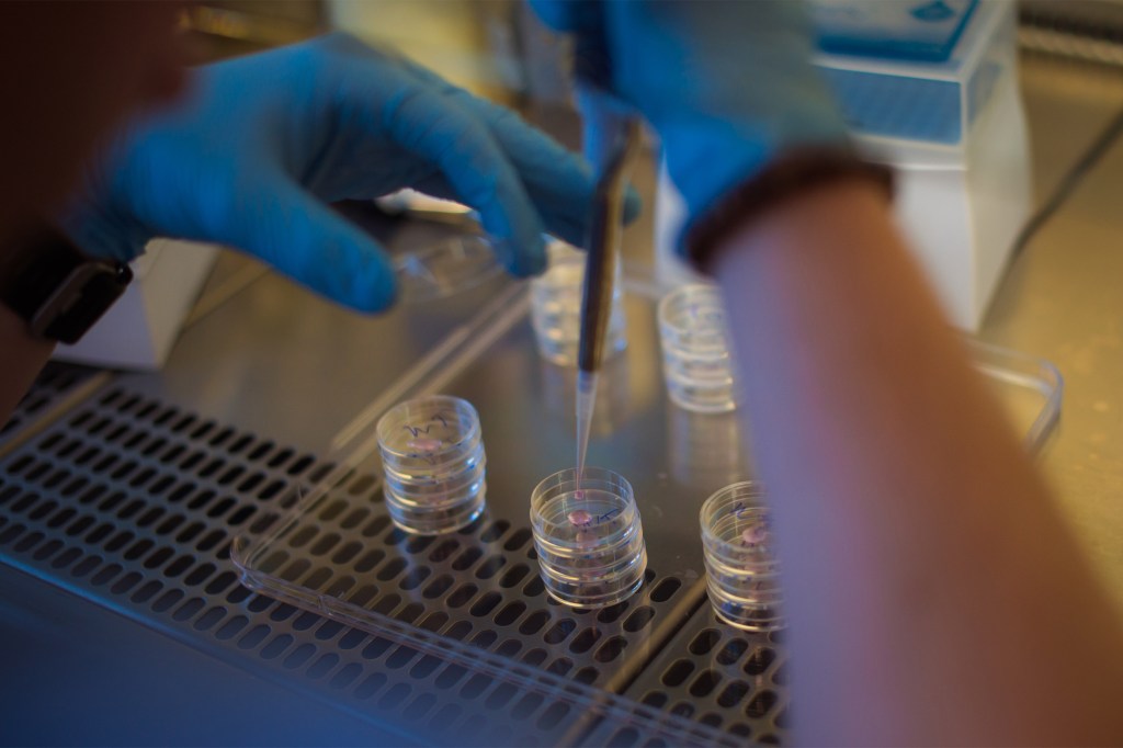 Lab with researcher doing test.