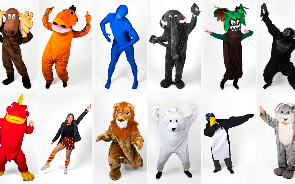 All twelve House mascots are pictured in costume striking a pose.