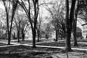 Harvard Yard in 1920.