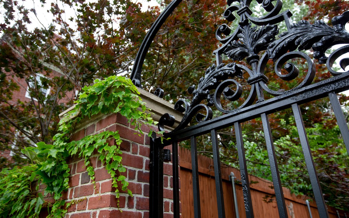 Gate with ivy outside Standish Hall