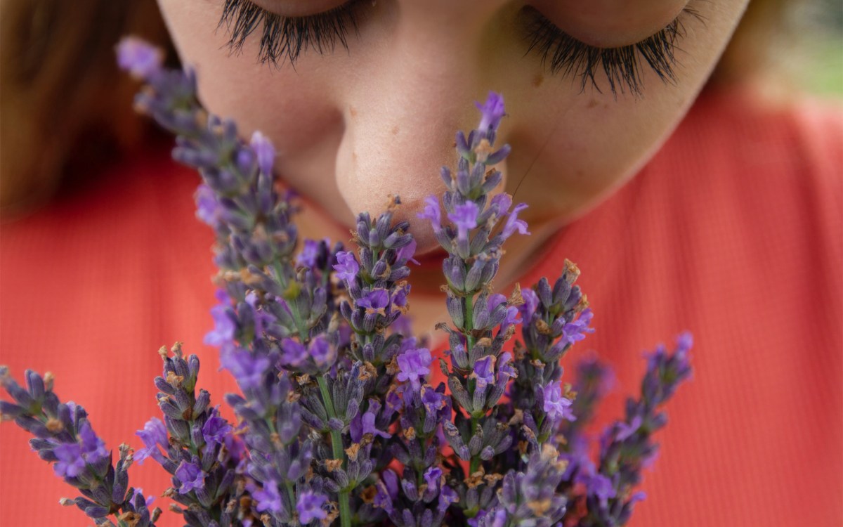 Person smelling flowers.