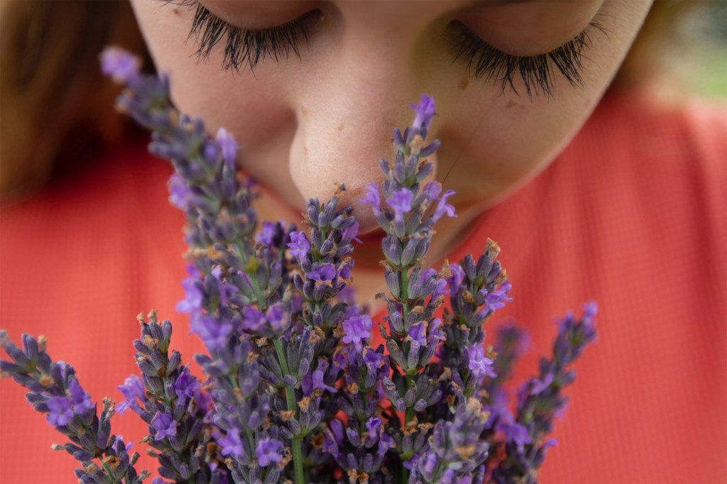 Person smelling flowers.