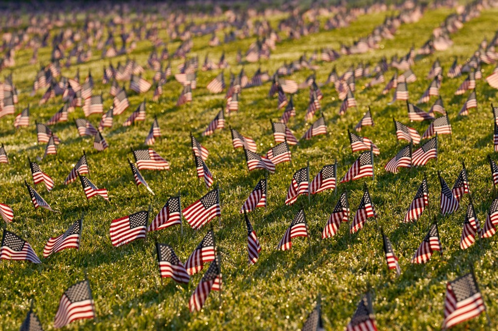 Tiny flags marking those who died from COVID.