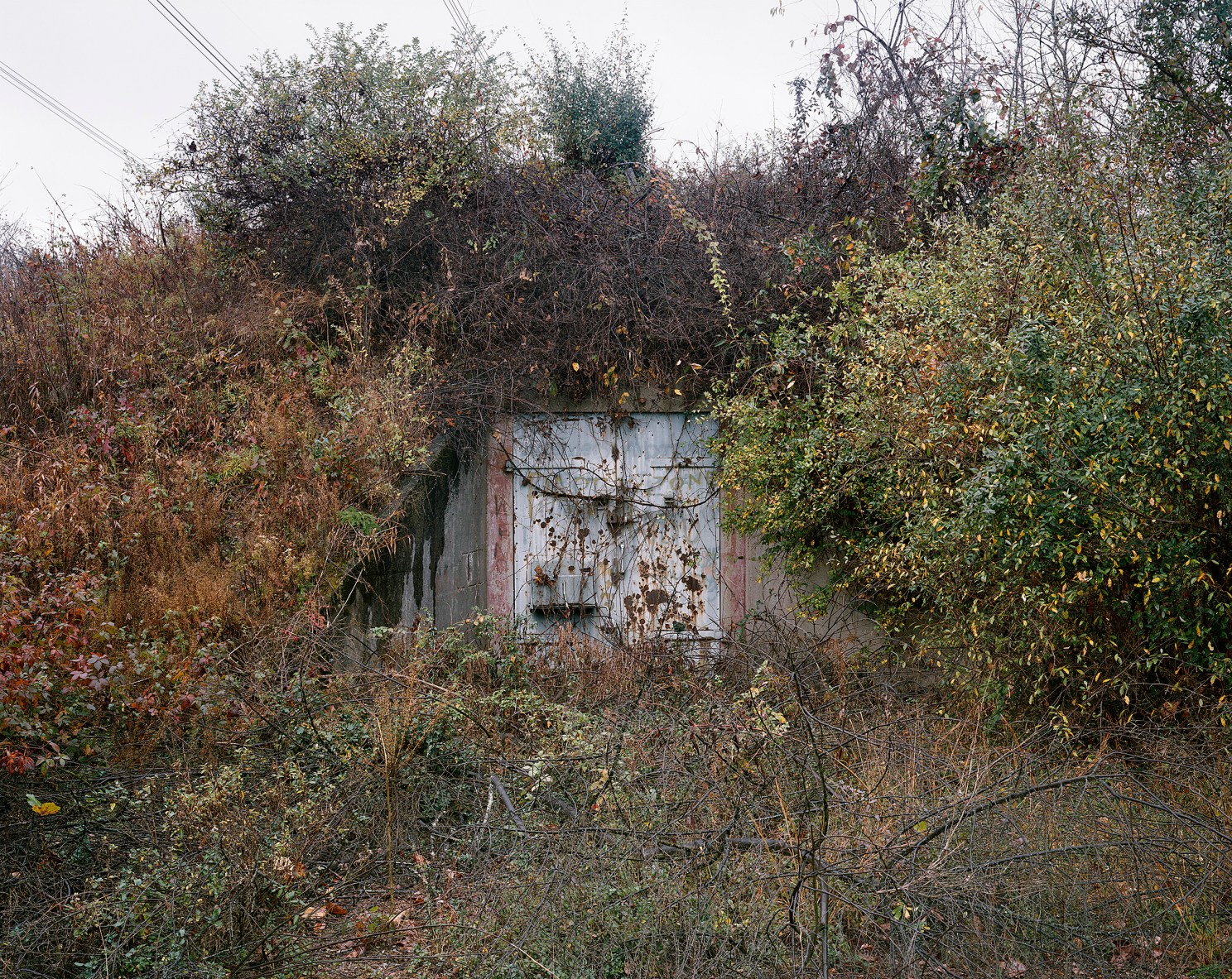 Iron door set in overgrown weeds.