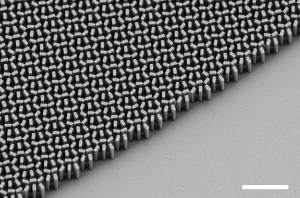 Scanning electron microscope micrograph of a metalens .