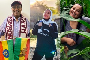 Three Harvard alums.