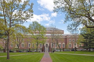 Harvard Art Museums.