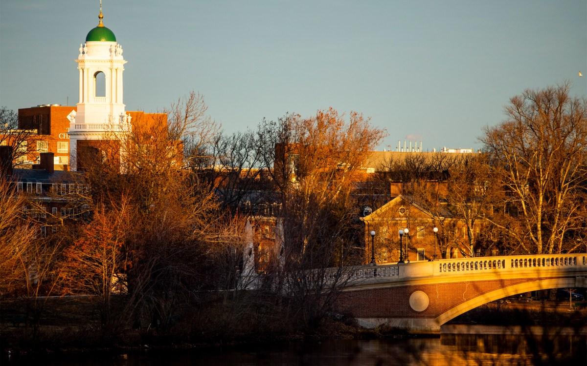 Harvard University.