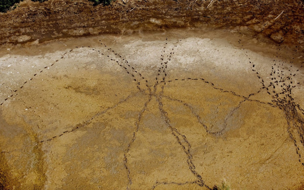 "Dried Pond along the Rio Grande."