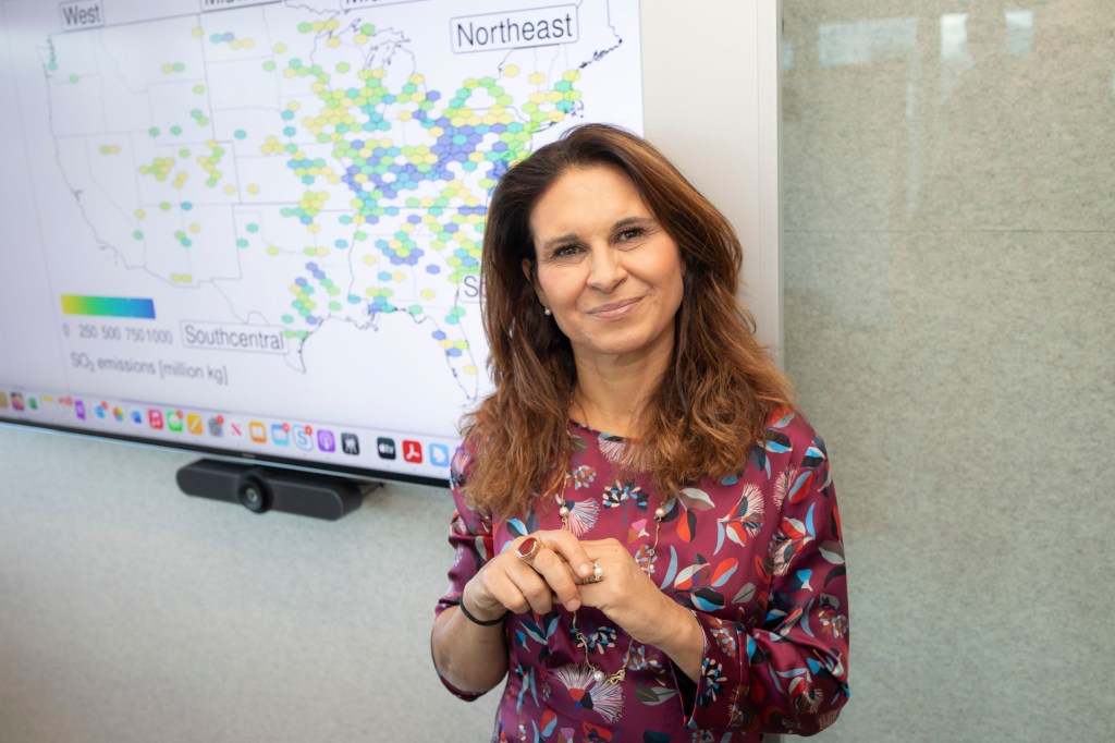 Francesca Dominici standing in front of a chart that shows pollution levels.