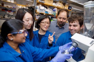 Nandini Vallavoju, Wenqing Xu, Christina Woo, Ralph Mazitschek, Connor Payne in lab.