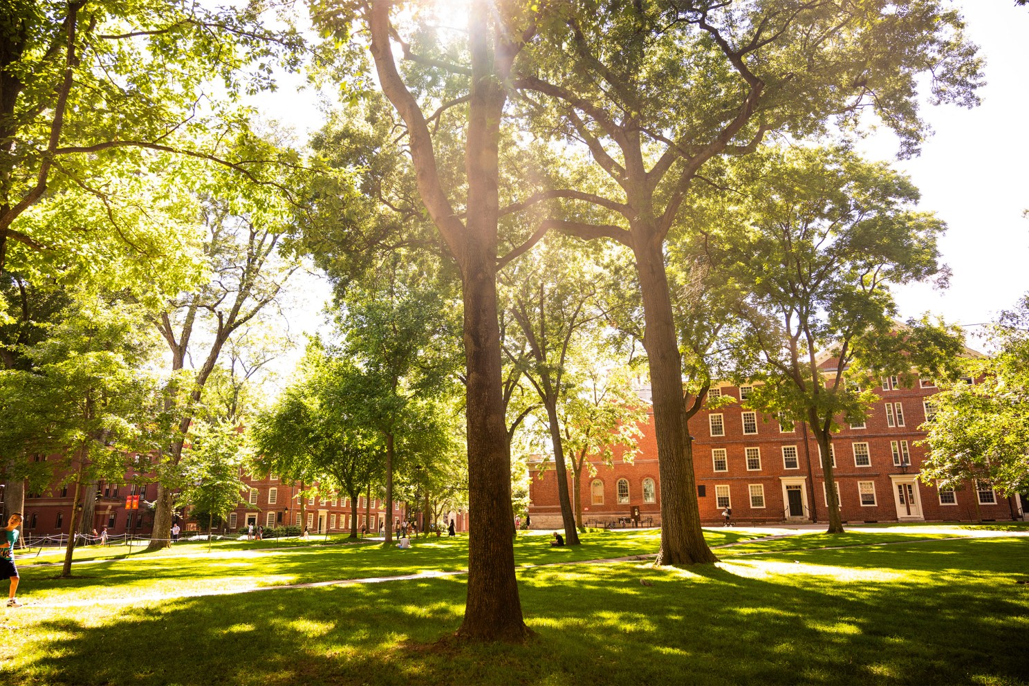 Harvard Yard.