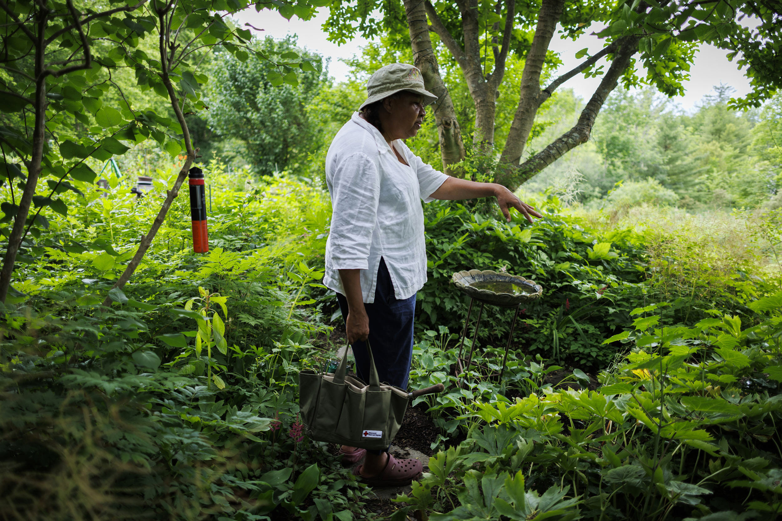 Kincaid standing in the middle of a lush green garden. 