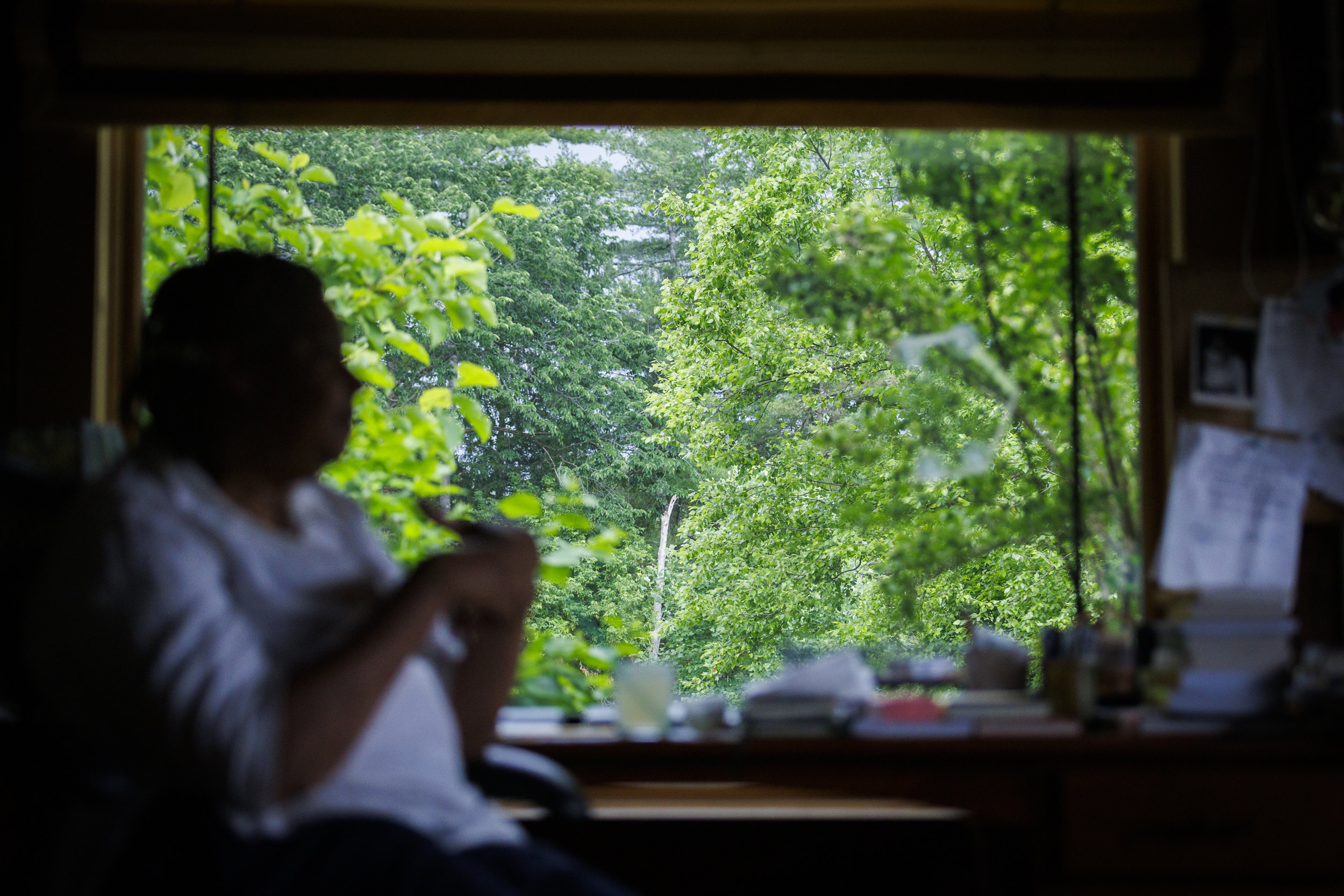 Window view of garden. 