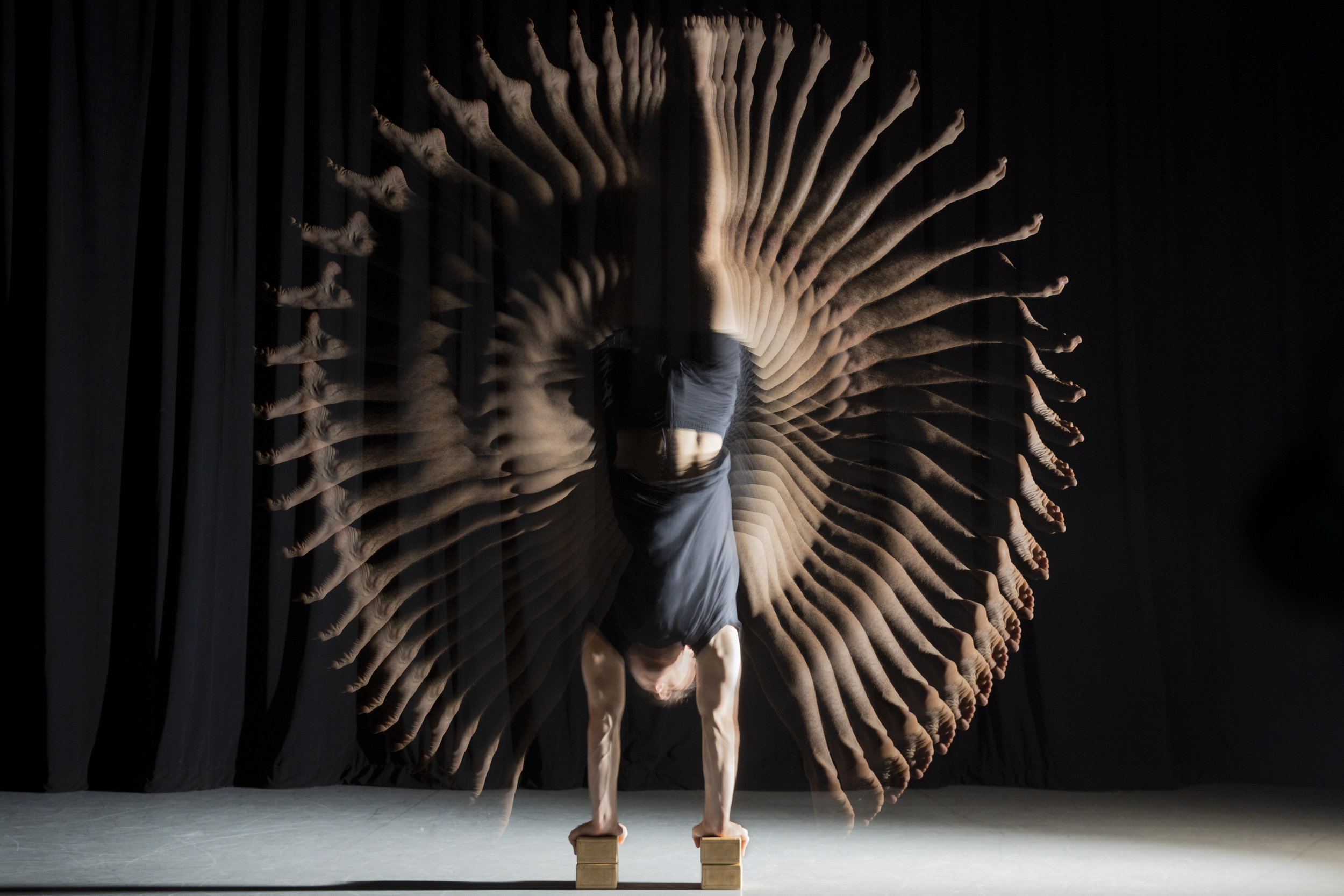 Gymnast and aerialist Brice Laurent ’25 moves in the Harvard Dance Center’s Studio 1.