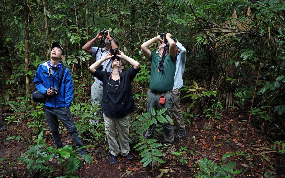 Chun-Yu Su, from left, Scott Edwards, Naomi Oreskes, Mario Cohn-Haft, and Oliver Lazarus birdwatching in the Amazon Rainforest.