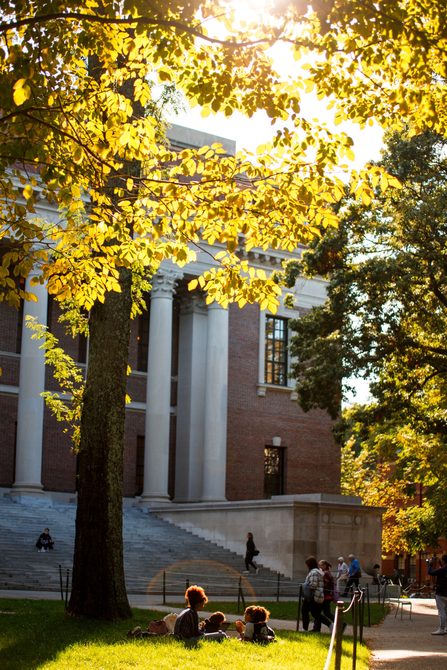 Widener Library in autumn.