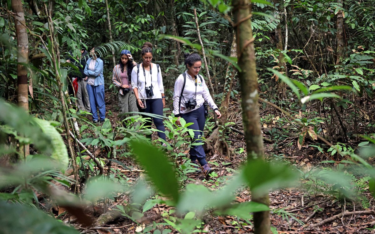 Raíssa Rainha, from right, Letícia Carvalho Silva, and Dariana González Aguilar make their way through the Amazon Rainforest.